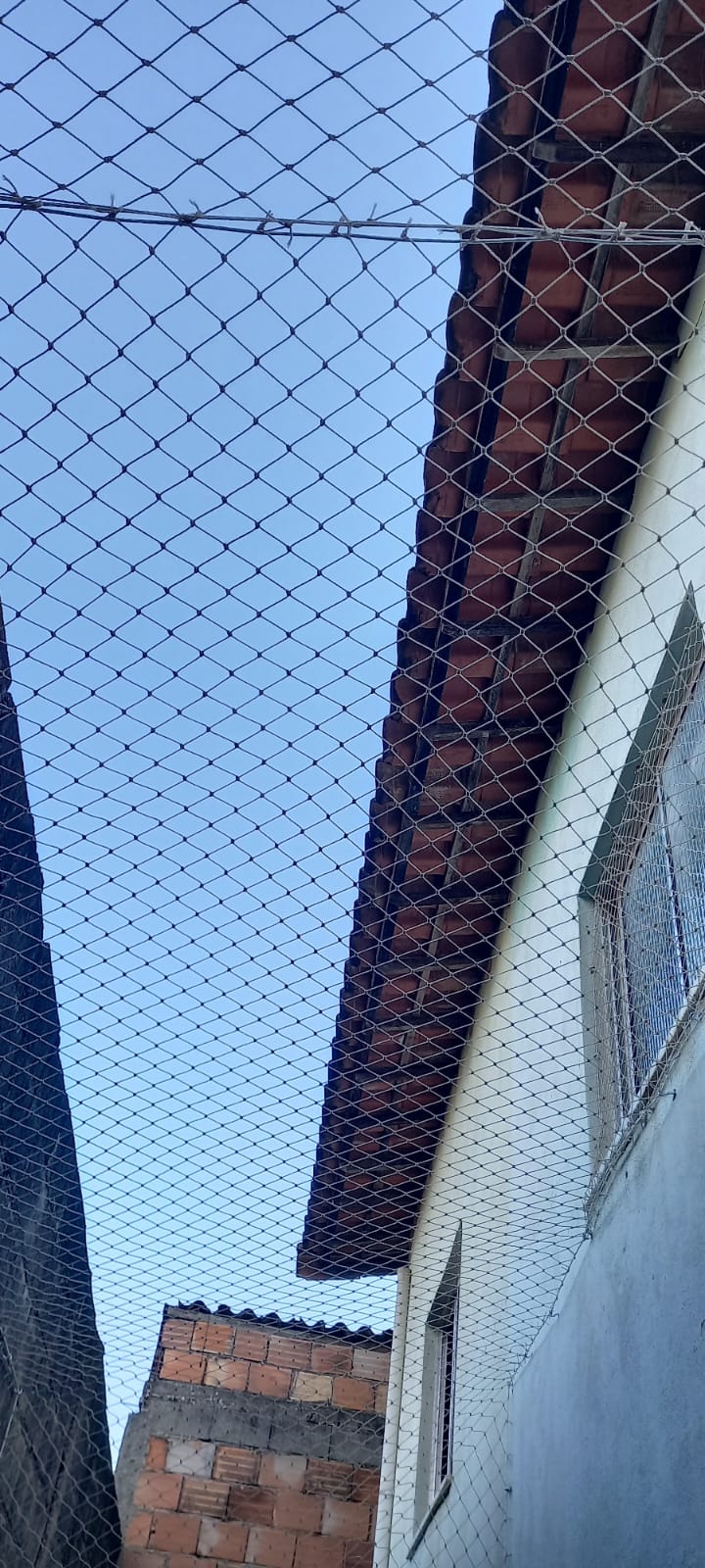 Redes de Proteção Sete Lagoas  (70).jpeg