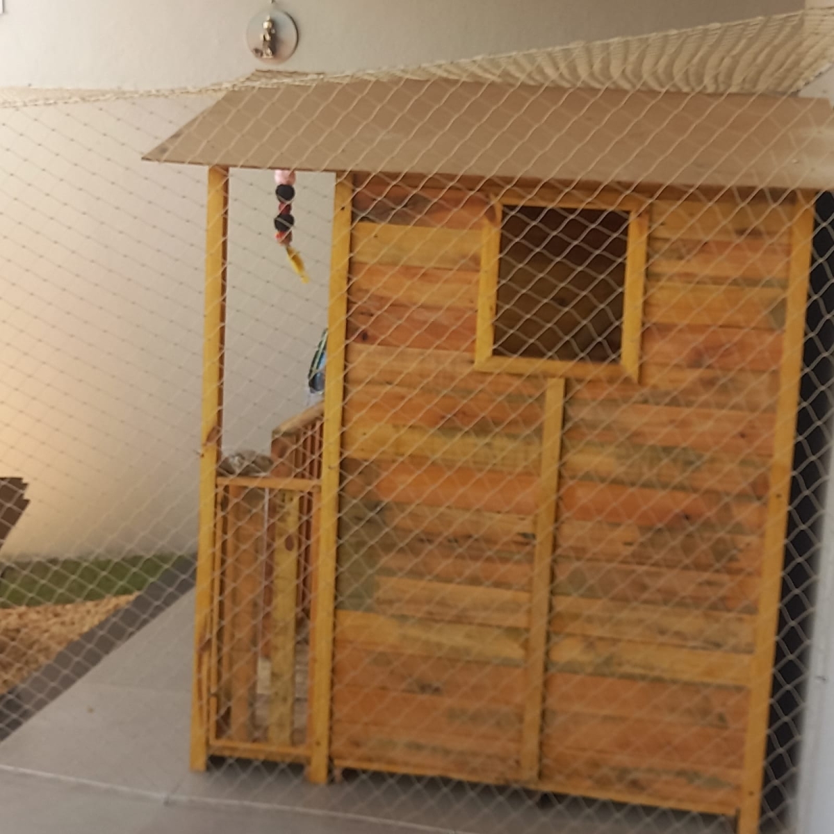 Redes de Proteção Sete Lagoas  (37).jpeg