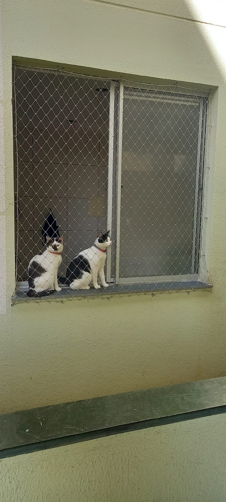 Redes de Proteção Sete Lagoas  (45).jpeg